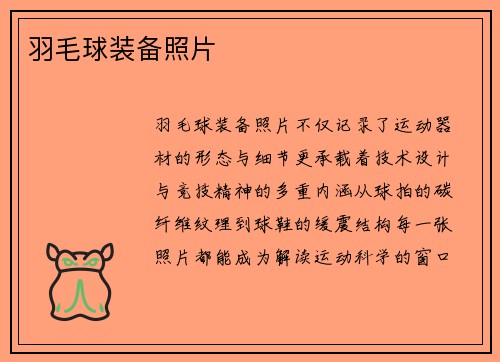 羽毛球装备照片